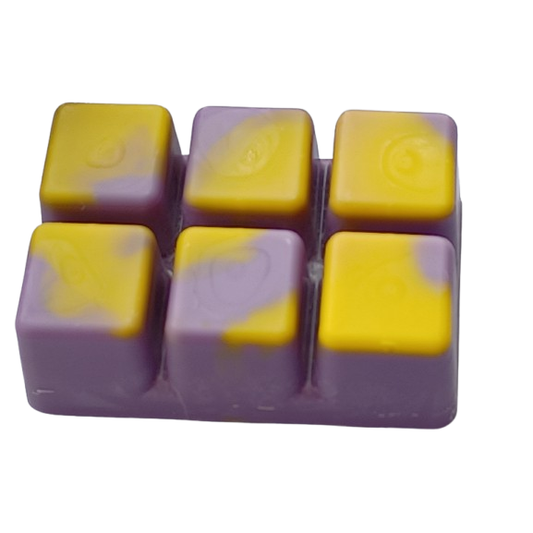 Luxury Black Iris and Musk Wax Melt Snap Bar