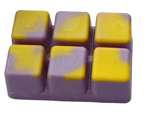 Black Iris and Musk Wax Melt Snap Bar - 80g