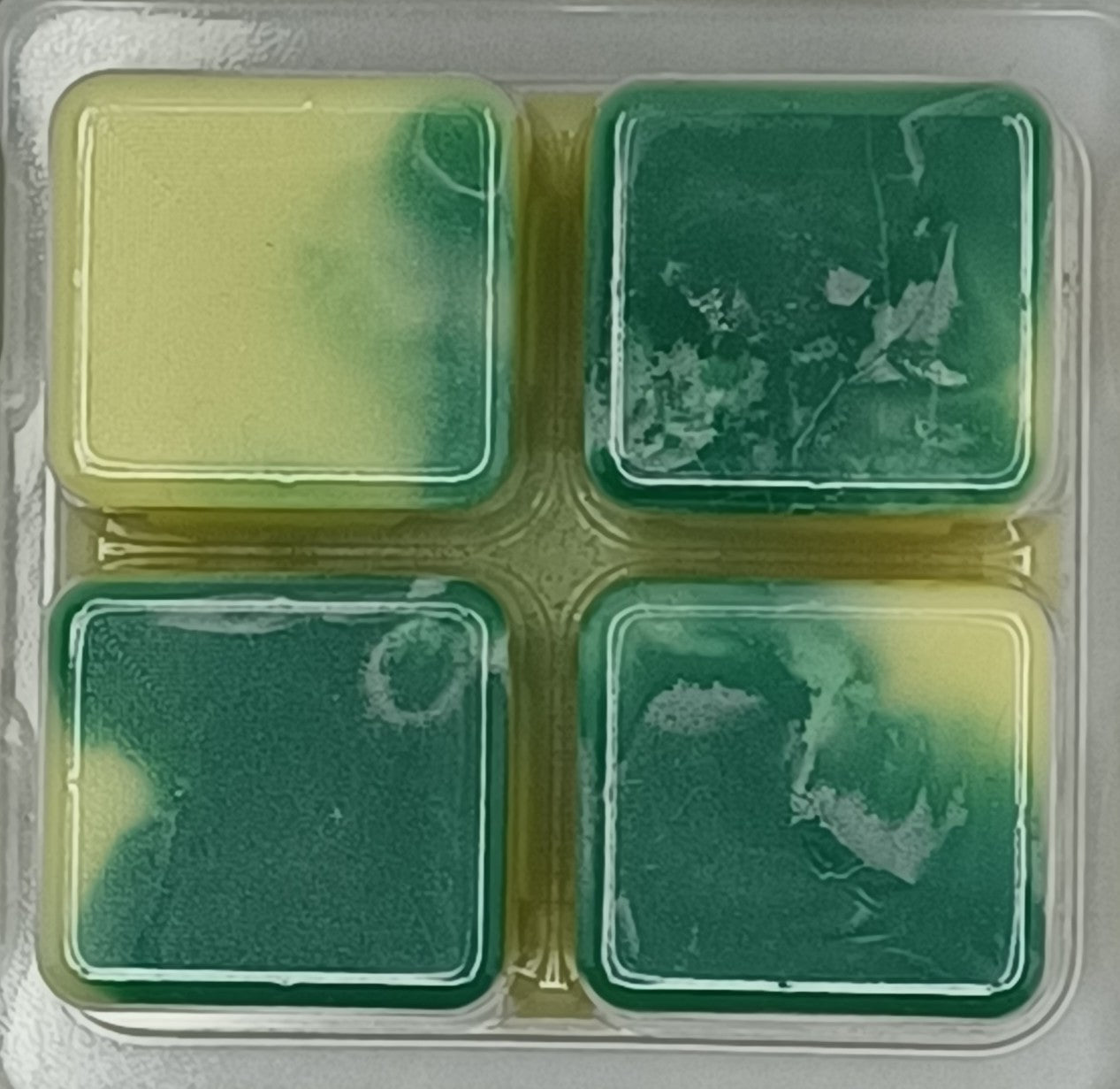 Luxury Handmade Thai Lime and Mango Wax Melt Snap Bar
