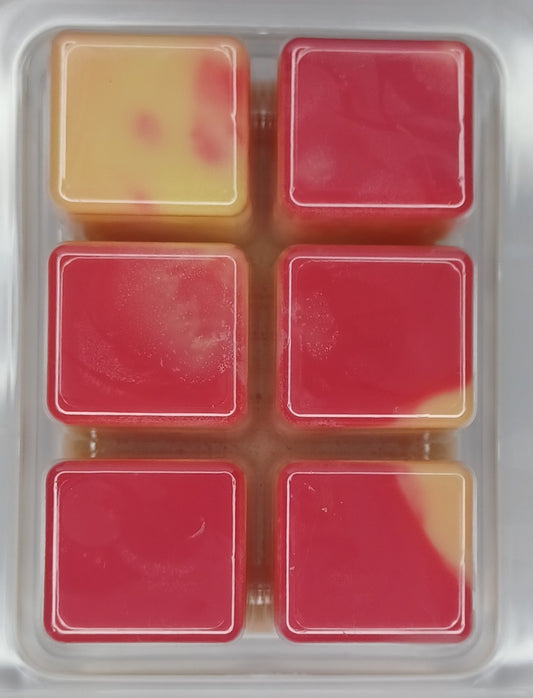 Luxury Cranberry and Spiced Ginger Wax Melt Snap Bar