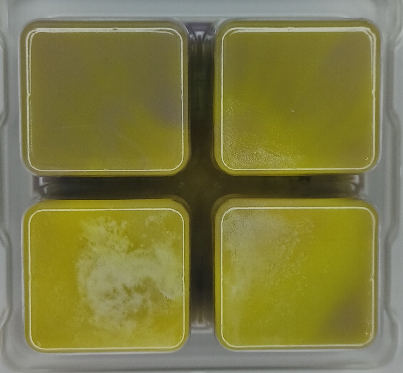 Luxury Black Iris and Musk Wax Melt Snap Bar