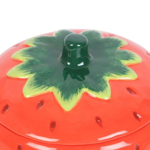 Strawberry Oil Burner Gift Home Fragrance